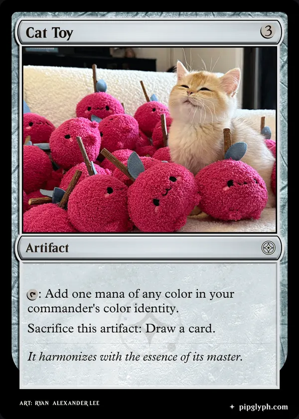Cat Toy