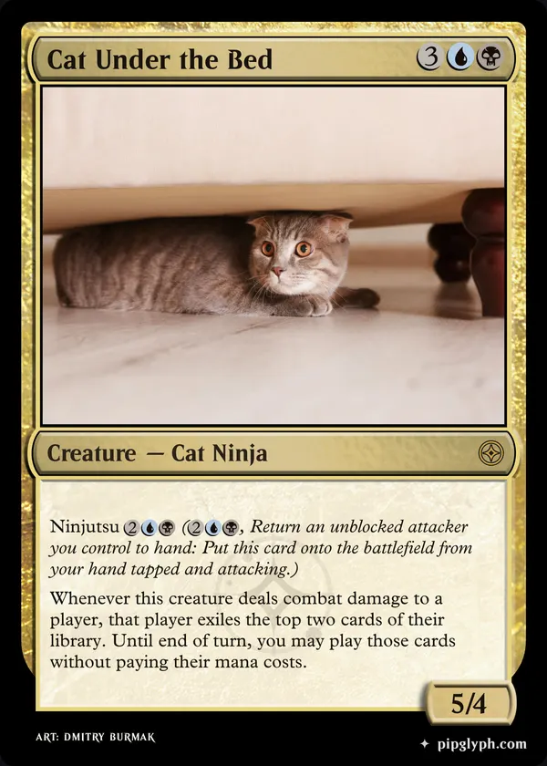 Cat Under the Bed