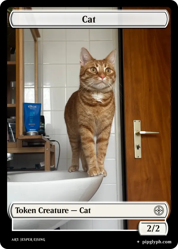 Cat
